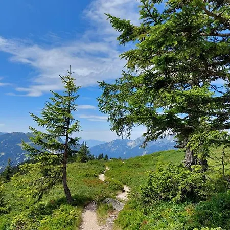 Haus Schallner * Sankt Gallenkirch