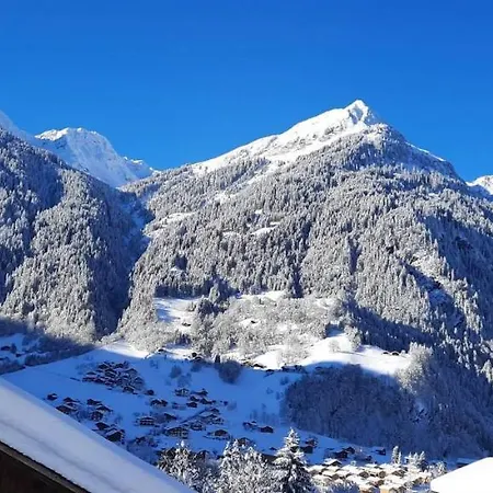 Haus Schallner * Sankt Gallenkirch