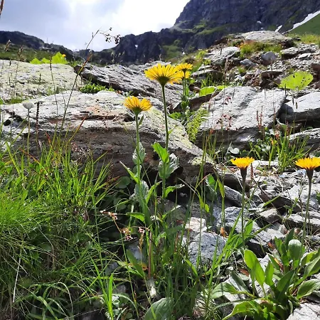 Haus Schallner * Sankt Gallenkirch