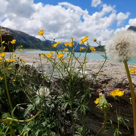 Haus Schallner Apartamento Sankt Gallenkirch