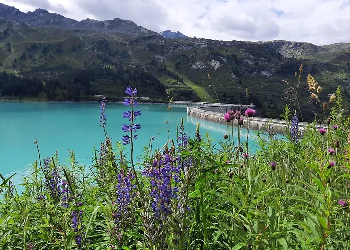 Apartment Haus Schallner *